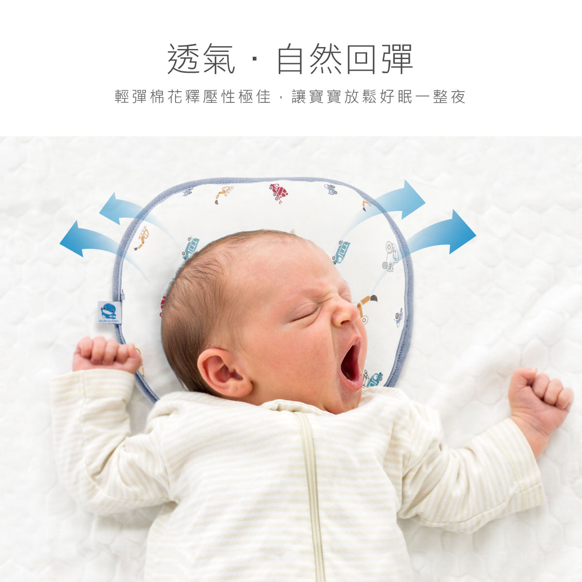 proimages/BeddingSeries/BabyPillows/4028/4028-護頭枕-EDM-3.jpg