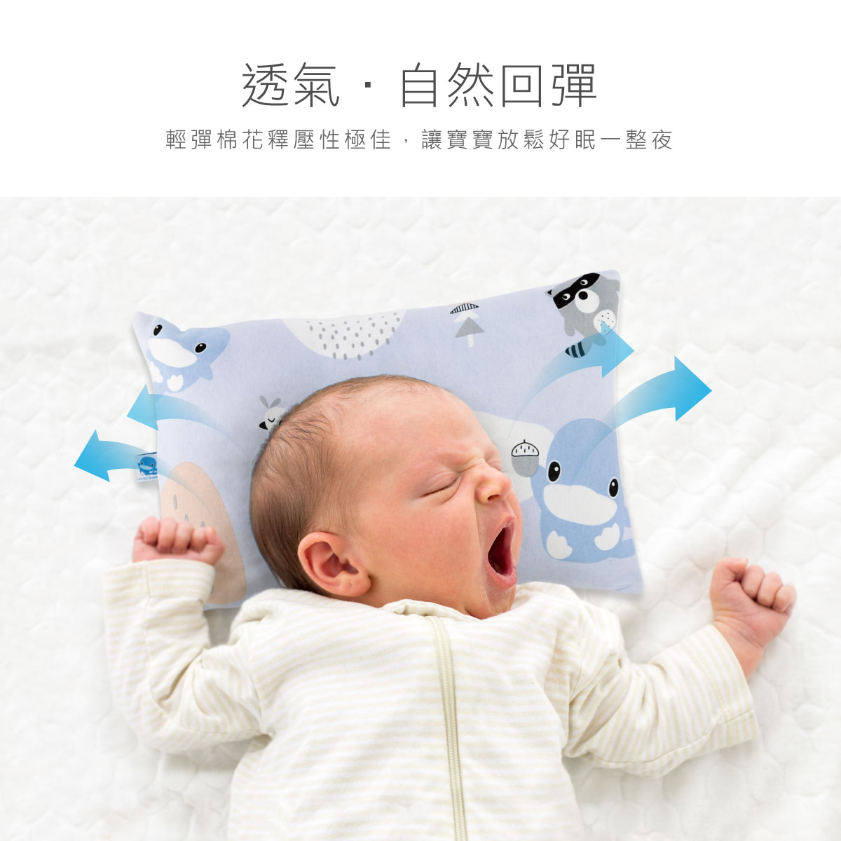 proimages/BeddingSeries/BabyPillows/4030/4030-初生枕-EDM-3.jpg