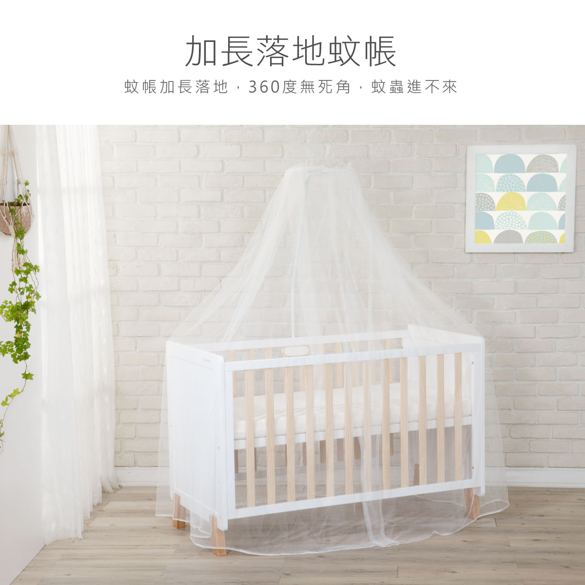 proimages/BeddingSeries/Bedding/2562/2562-蚊帳-EDM-9.jpg