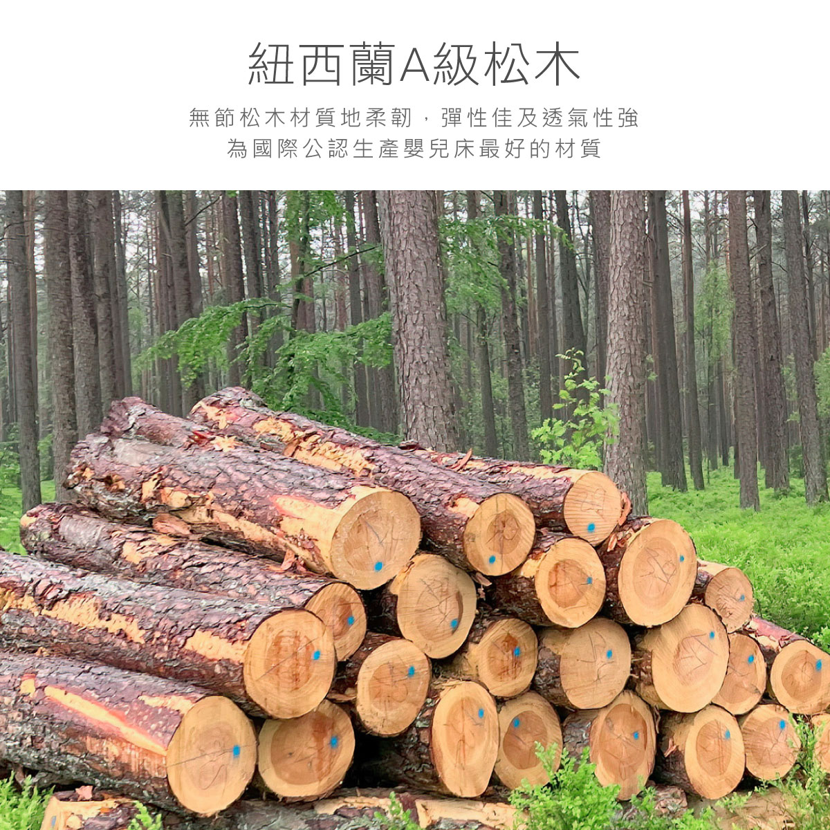 6044-嬰兒床-EDM-6