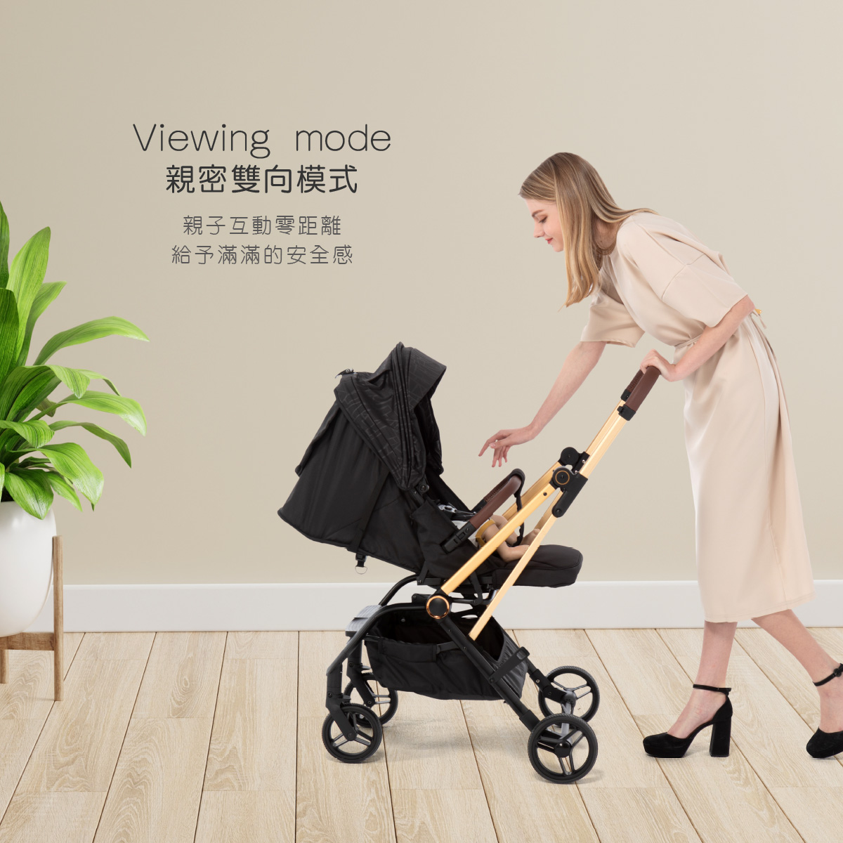 proimages/Tip_Accessories_Series/Baby_Stroller/6045/6045-雙向手推車EDM-3.jpg
