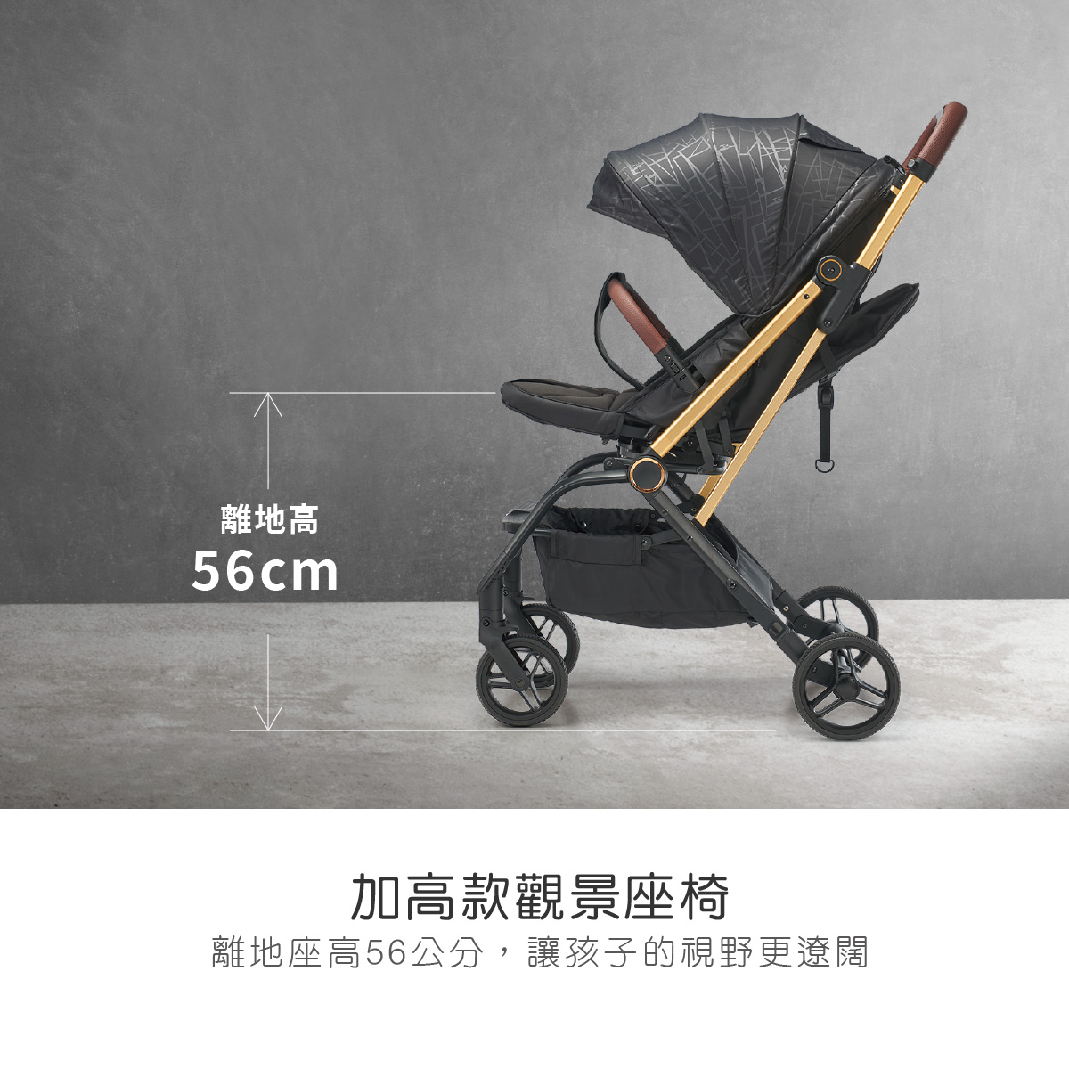 proimages/Tip_Accessories_Series/Baby_Stroller/6045/6045-雙向手推車EDM-9.jpg